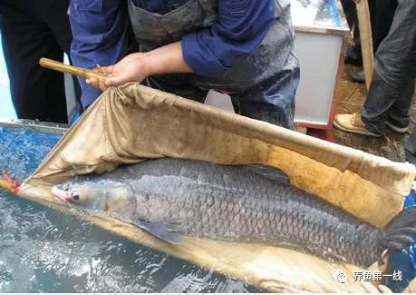 1763091059330552.jpg 5.jpg