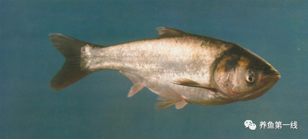 1763091094658191.png 8.png