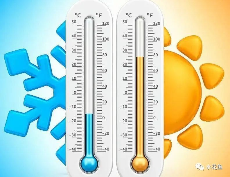 1763348037219314.jpg 3.jpg