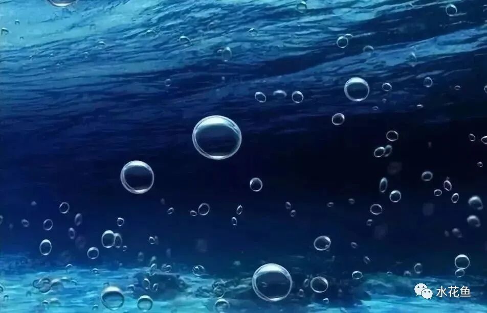 1763348059197162.jpg 4.jpg