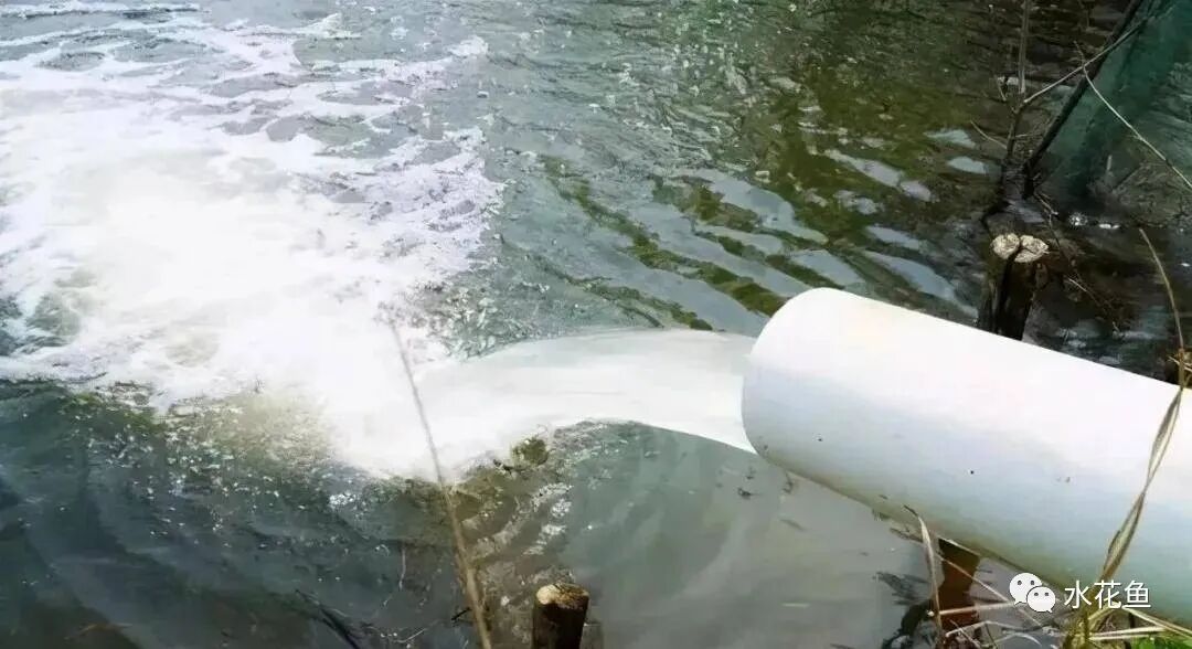 1763348078752036.jpg 5.jpg