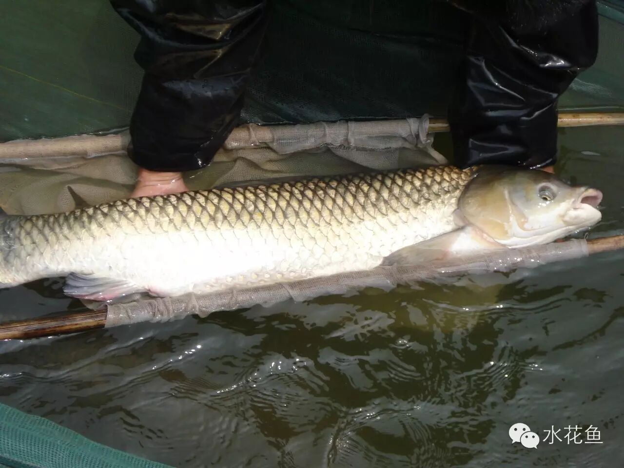 1763348230460290.jpg 12.jpg