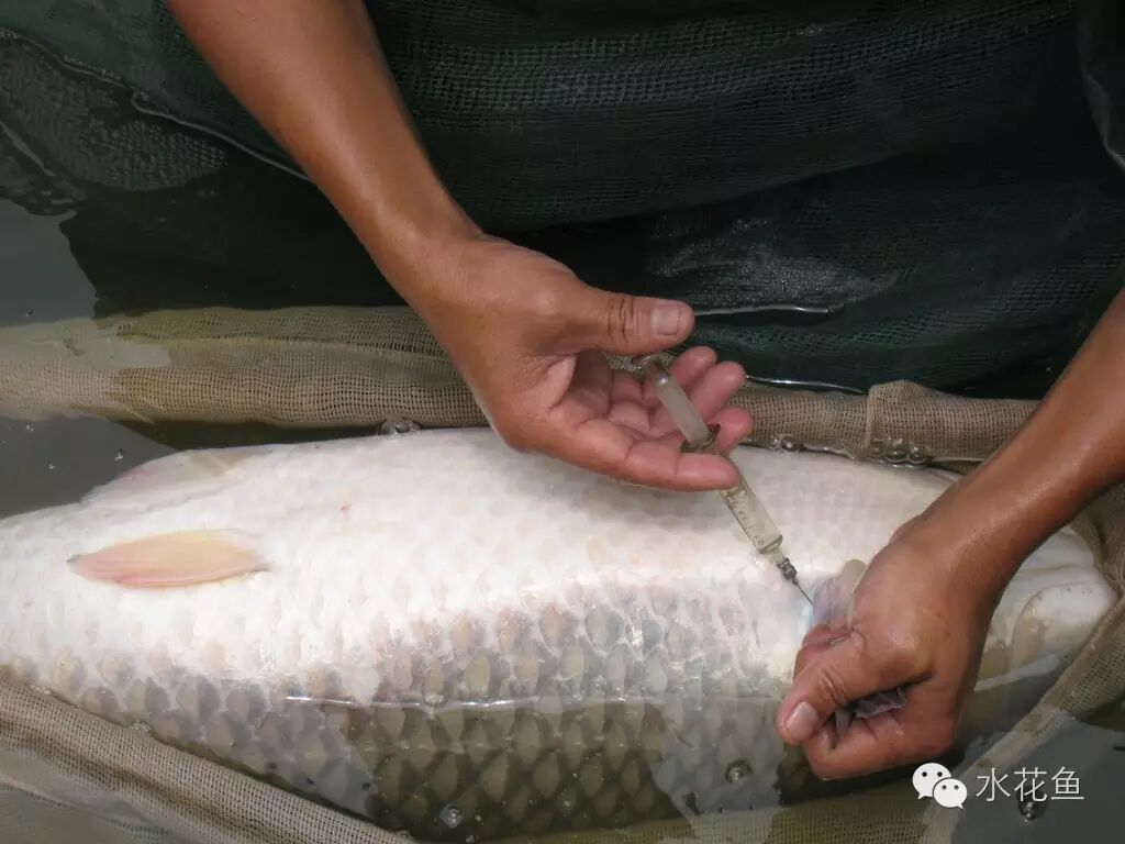 1763348271355966.jpg 15.jpg