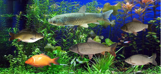 1763349107642621.png 1.png