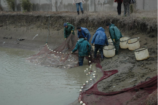 1763349141773005.png 2.png