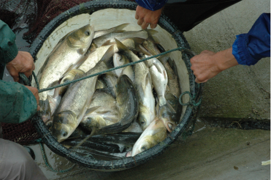 1763349156981827.png 3.png