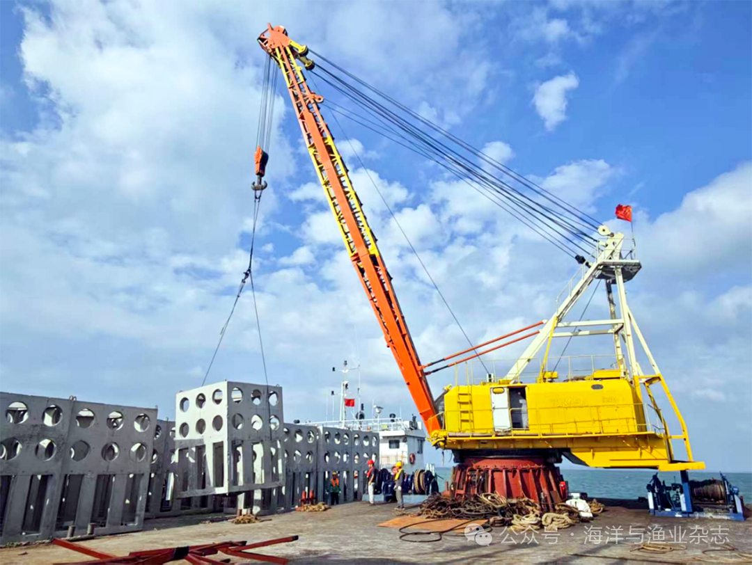 1763432338831391.png 2.png