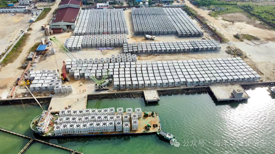 1763432372891259.png 4.png