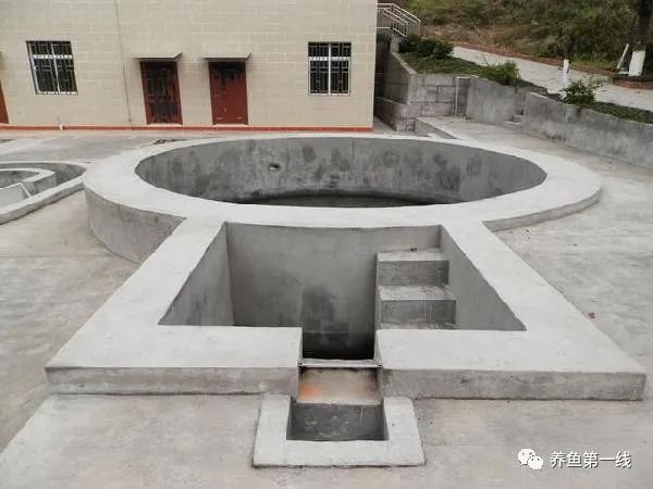 1763433461601795.jpg 3.jpg