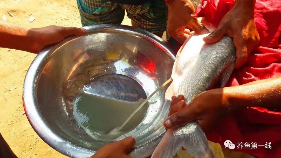 1763433494565123.jpg 5.jpg