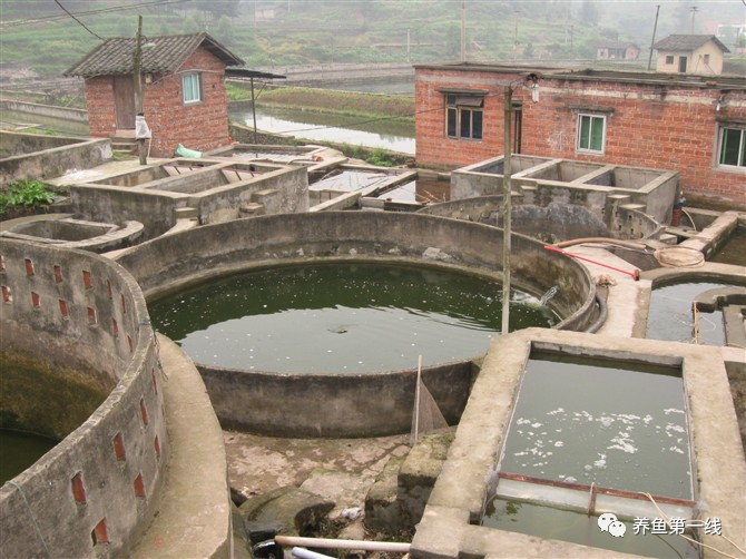 1763433597550002.png 10.png