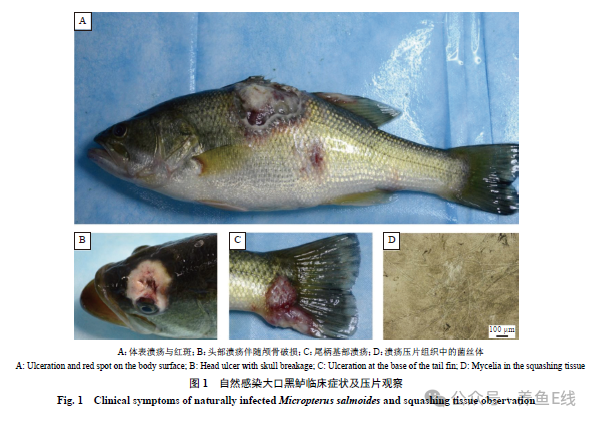 1763522229955566.png 7a1ef152f71e6300567d678bf5d8d99c.png