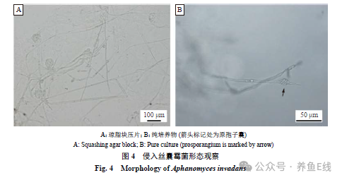 1763522333380385.png df0dbeec12364552f714746a2b721328.png