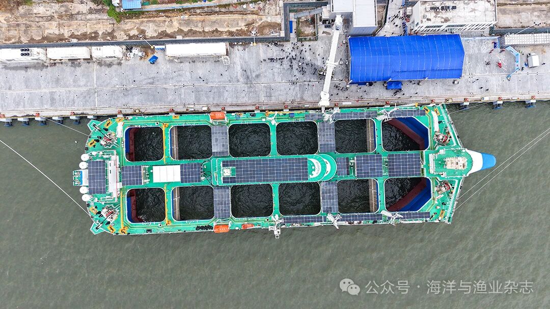 1763607060438564.jpg 4.jpg