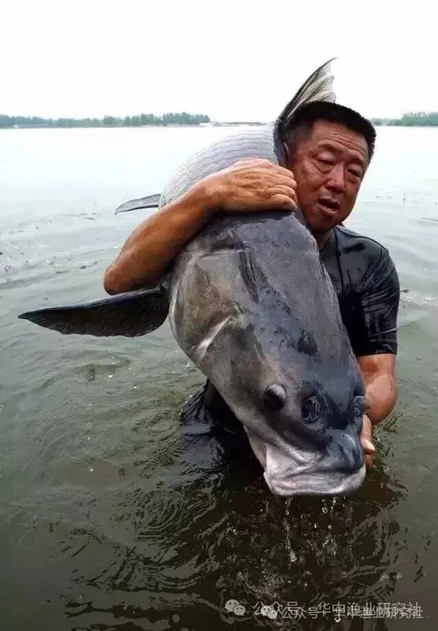 1763607639455489.jpg 2.jpg