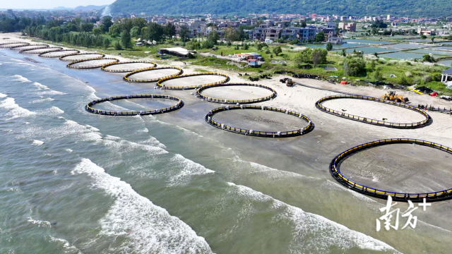 1763692189669940.png 1.png