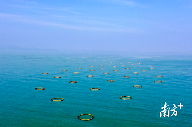 1763692206478515.png 2.png