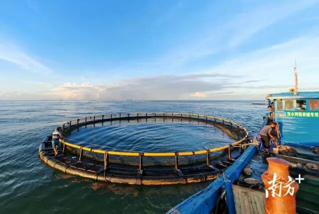 1763951372760019.jpg 1.jpg