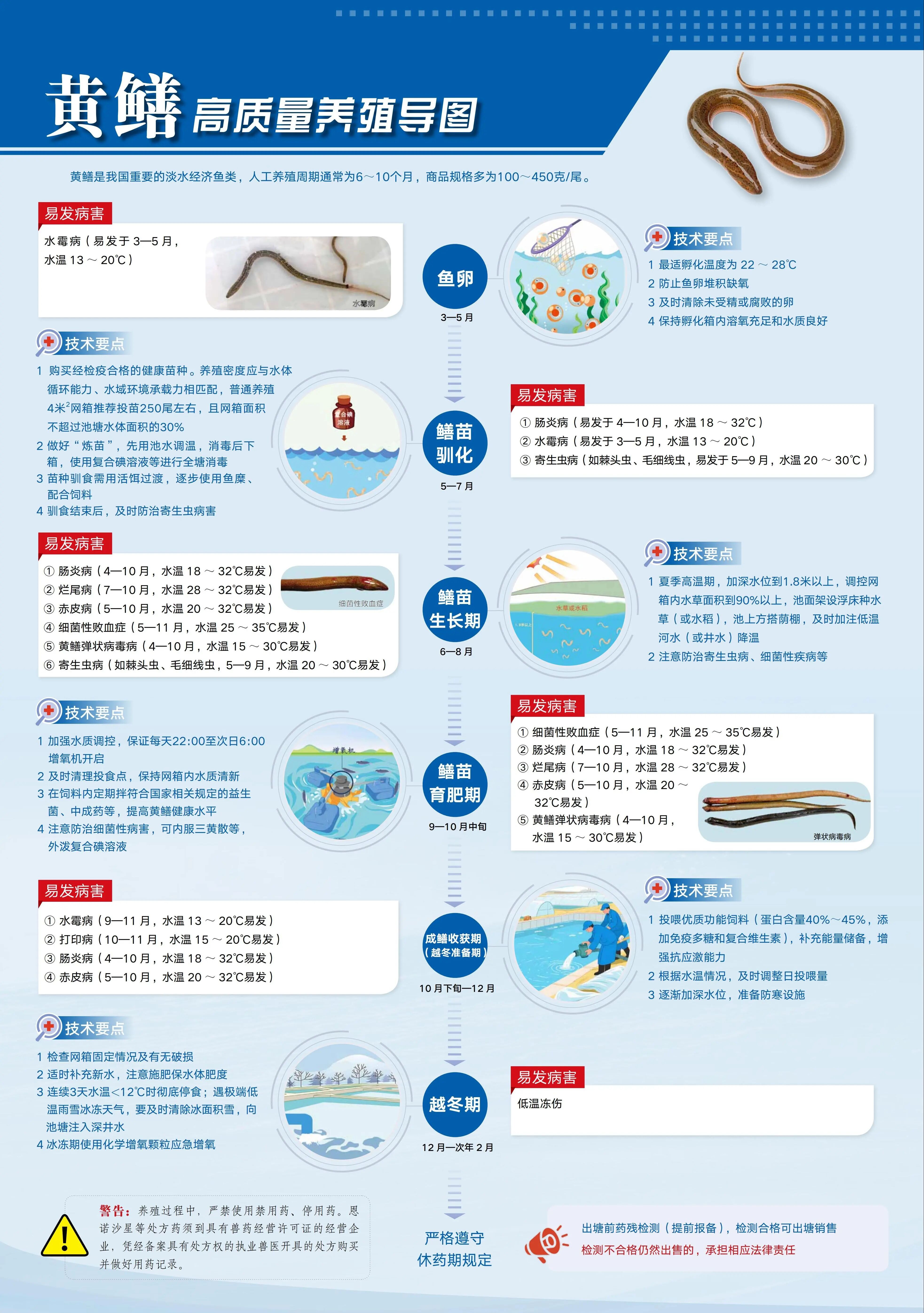 1763952179701878.jpg 1.jpg