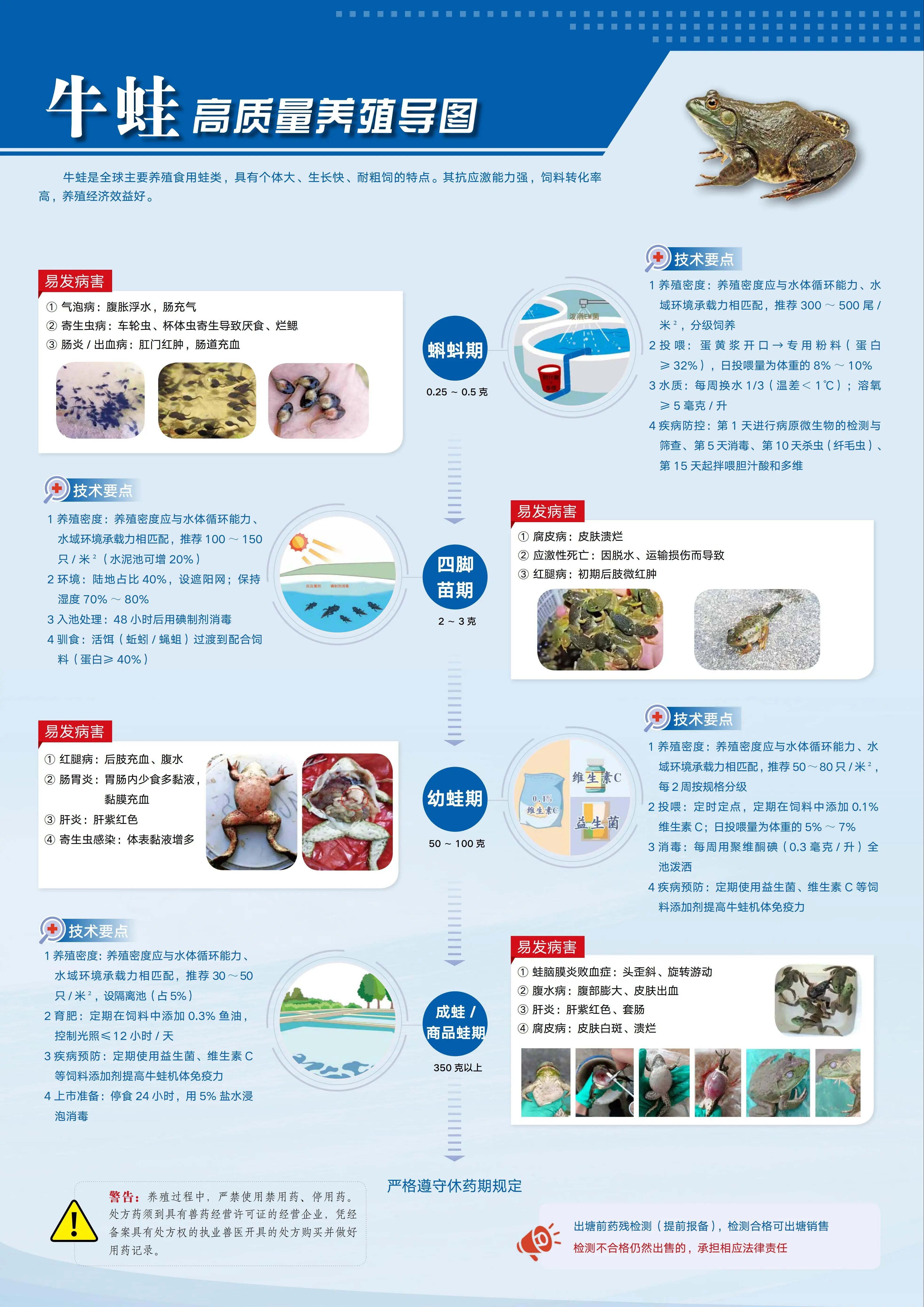 1763952195763079.jpg 2.jpg