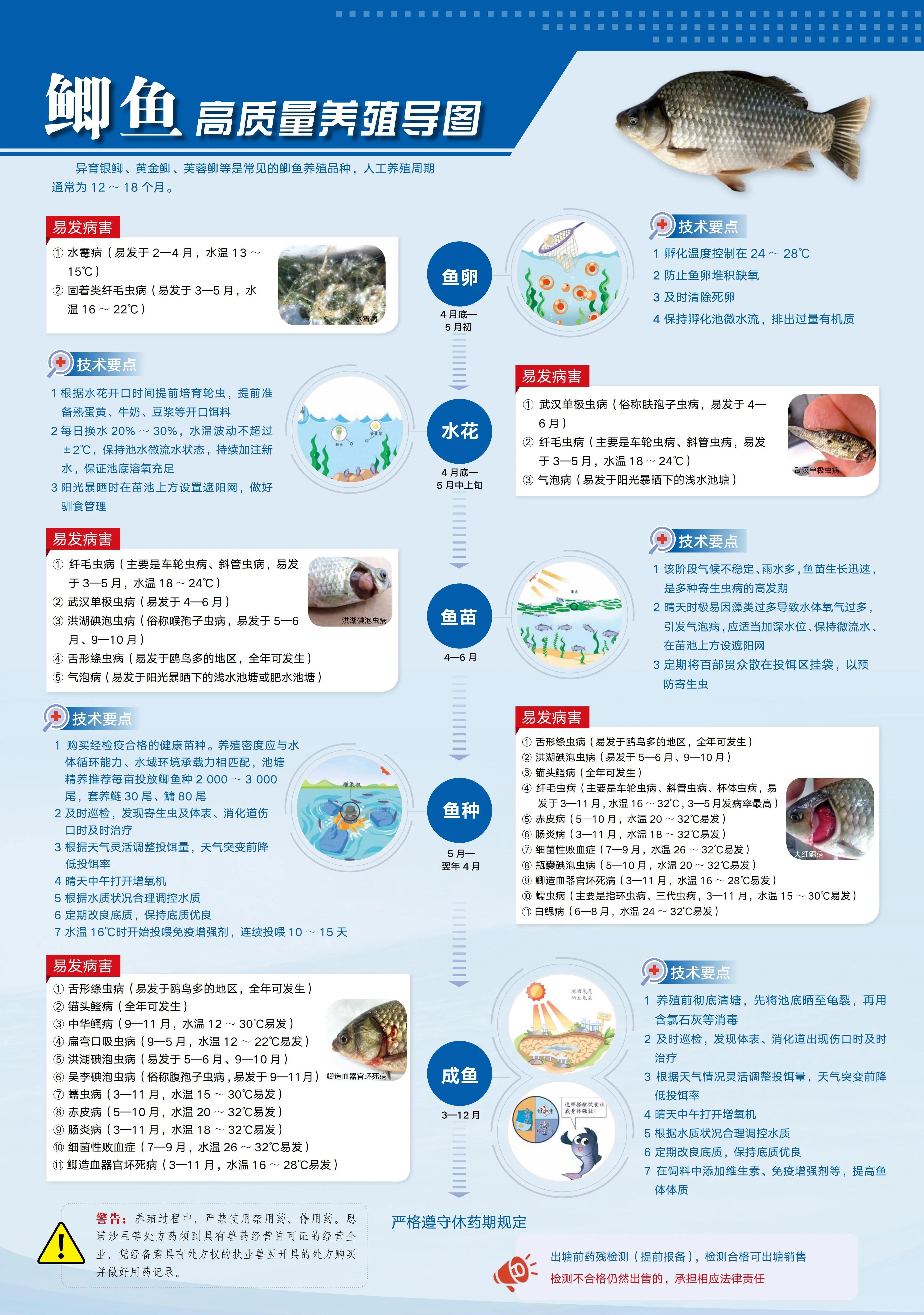 1763952267548048.jpg 6.jpg