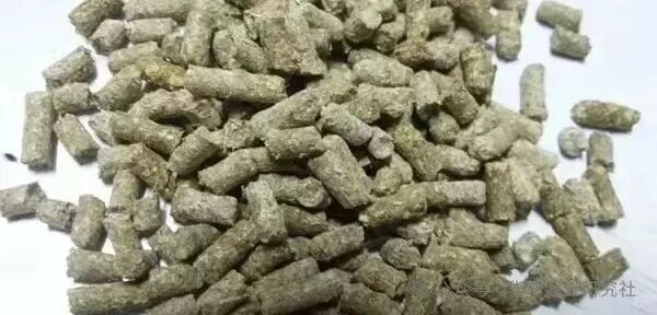 1763953739684806.jpg 3.jpg