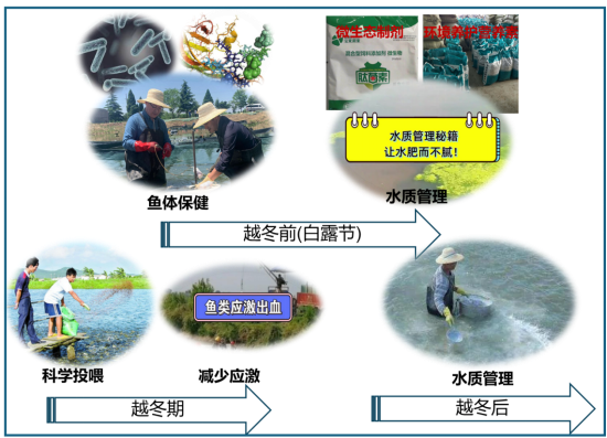 1763954506817216.png 2.png