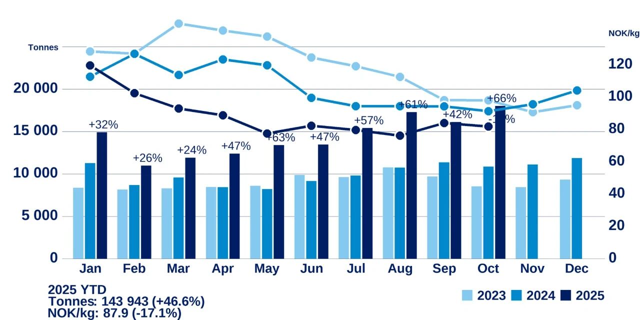 1763955086673742.jpg 3.jpg