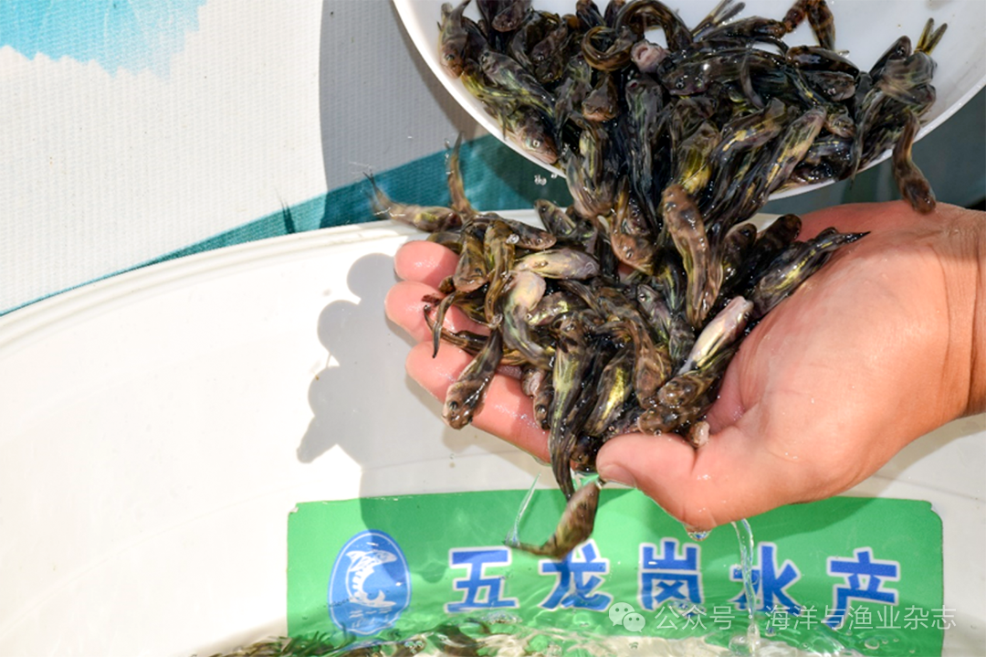 1764037730437418.png 2.png