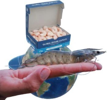 1764040134982952.jpg 1.jpg