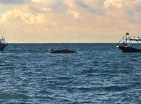 1764295612478731.png 1.png