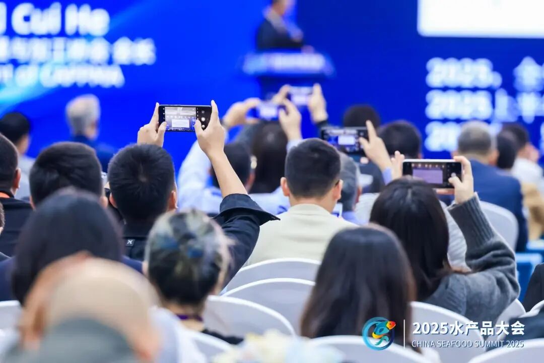 1764555513736235.jpg 2.jpg