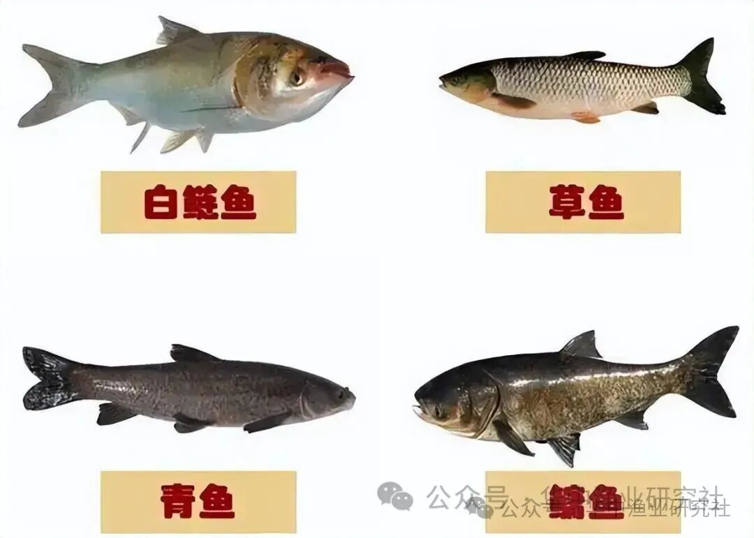 1764559400982692.jpg 3.jpg