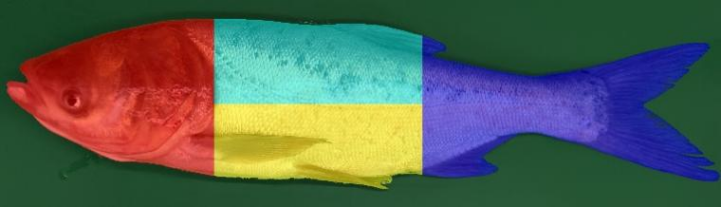 1764642665606336.png 2.png