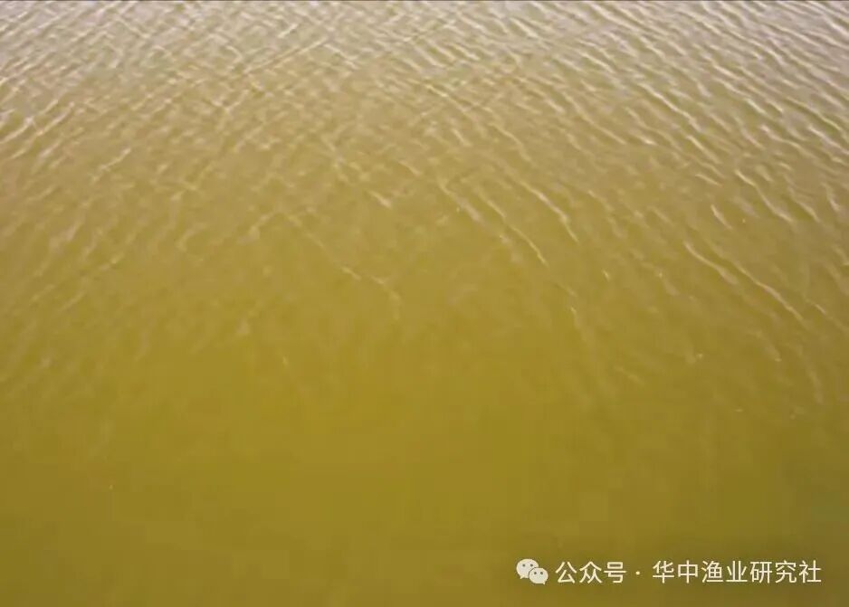 1764643795929287.jpg 2.jpg