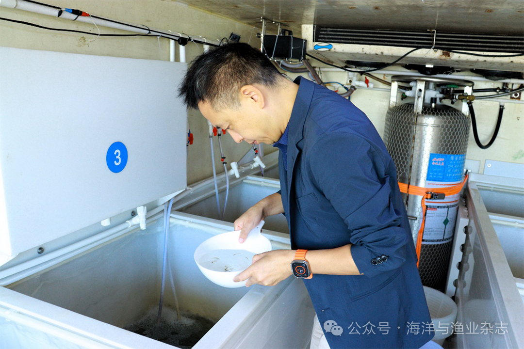 1764729489899719.png ea7d5288c6178ad067801d5079e22813.png