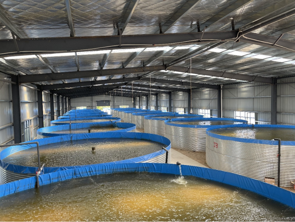 1764816958336068.png 2.png