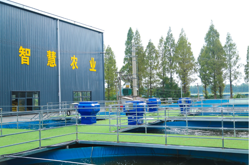 1764817100945268.png 6.png