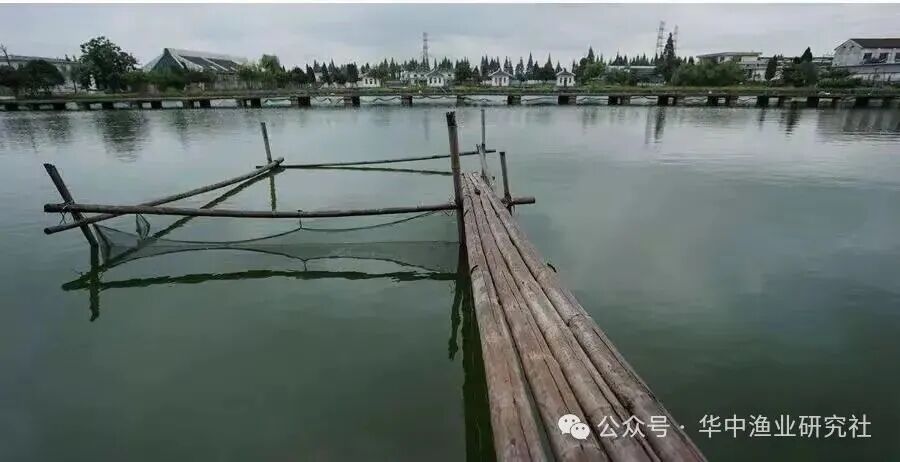 1764818081537627.jpg 1.jpg