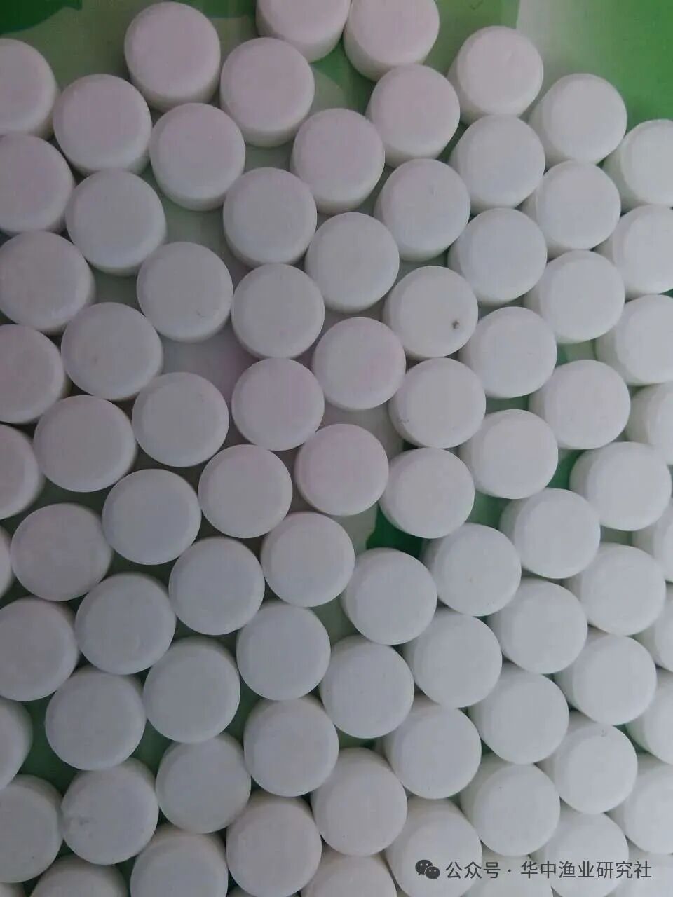 1764818118181895.jpg 4.jpg