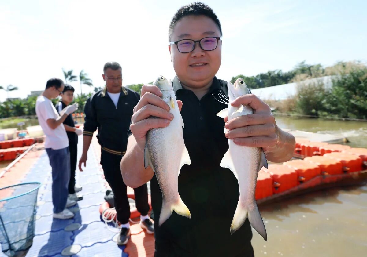 1764900618598005.jpg 2.jpg