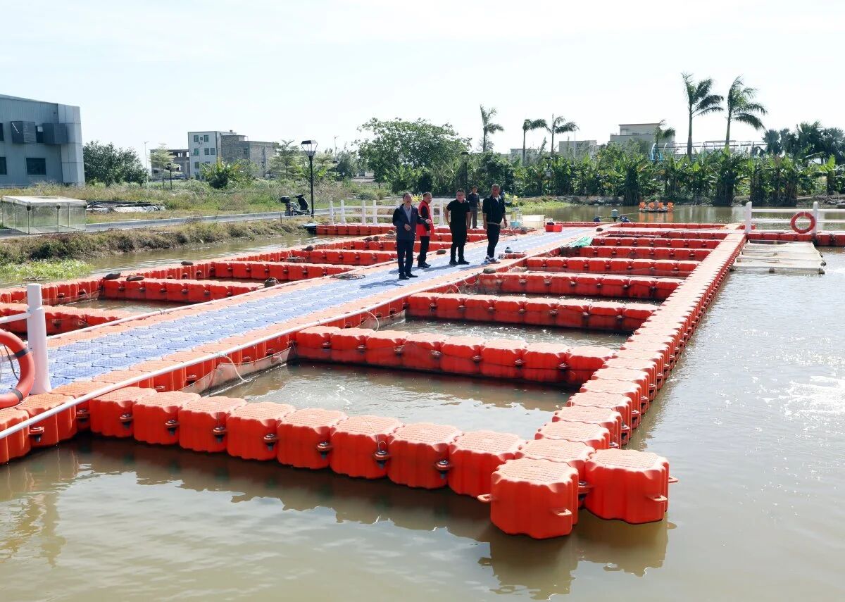 1764900642324871.jpg 3.jpg