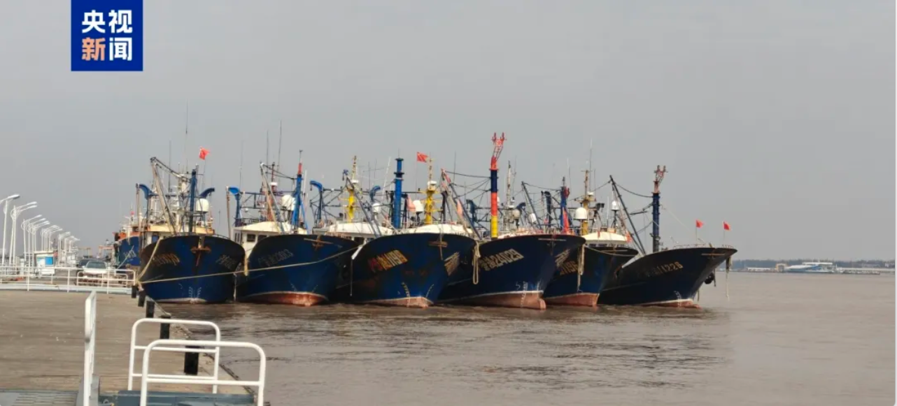 1765162506929271.png 1.png