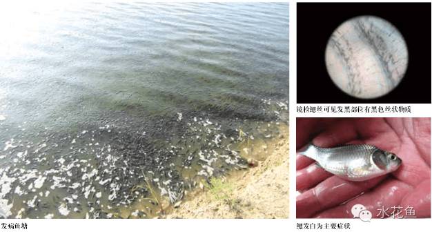 1765176538177620.jpg 3.jpg