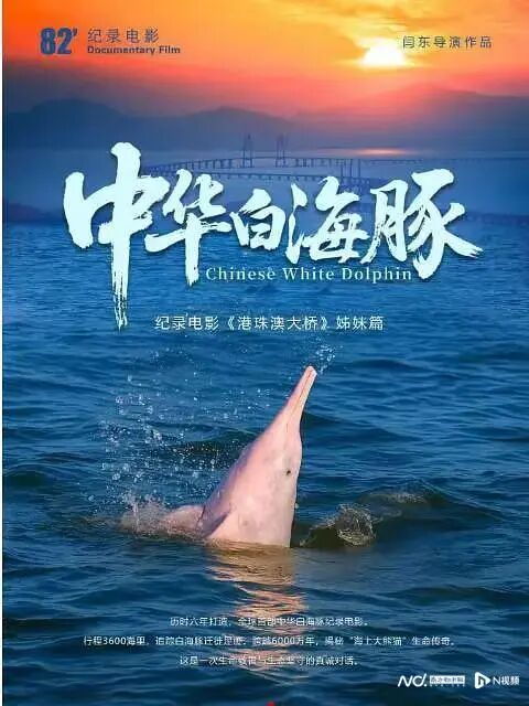 1765248080612496.jpg 5.jpg