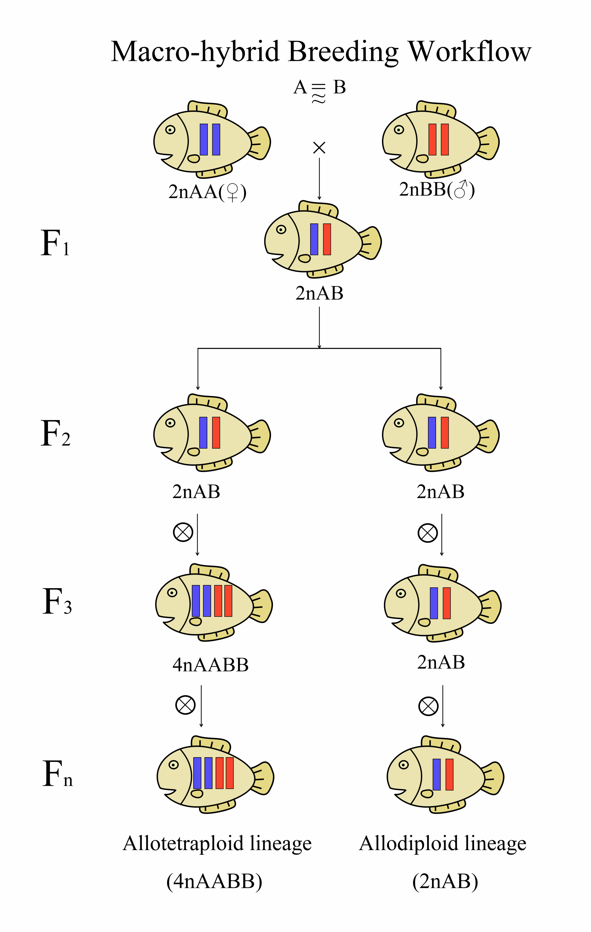 1765248831633586.png 2.png