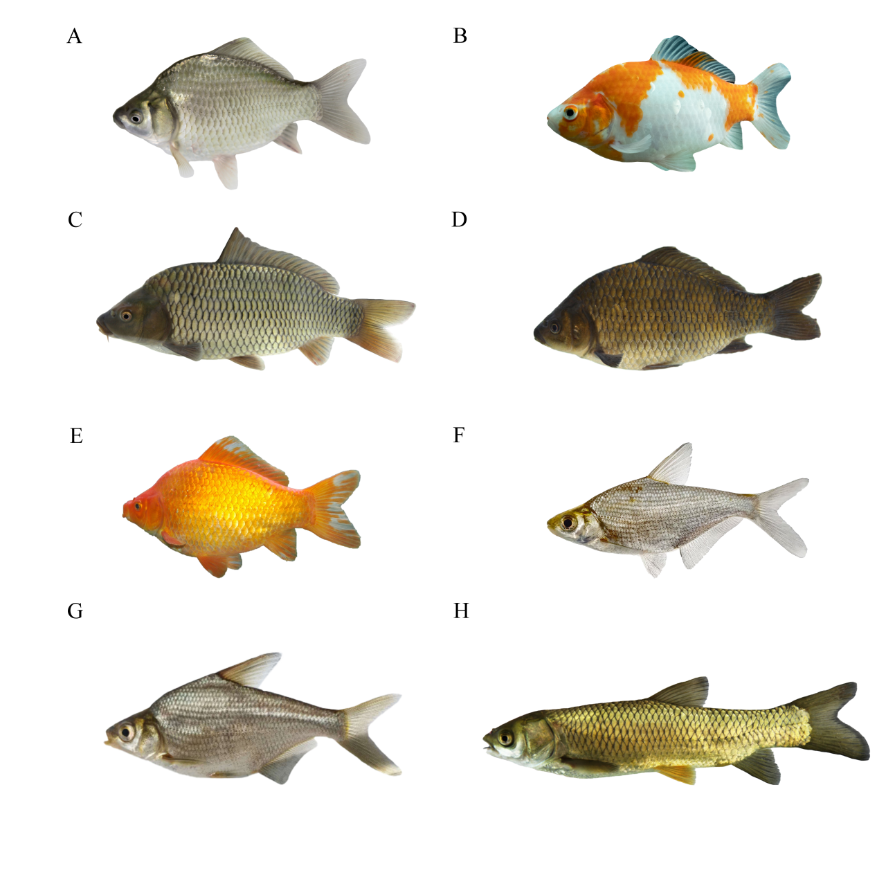 1765248924106075.png 4.png