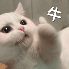 1765334860957725.png ad1c16cc2432986490213c0c1c28b509.png