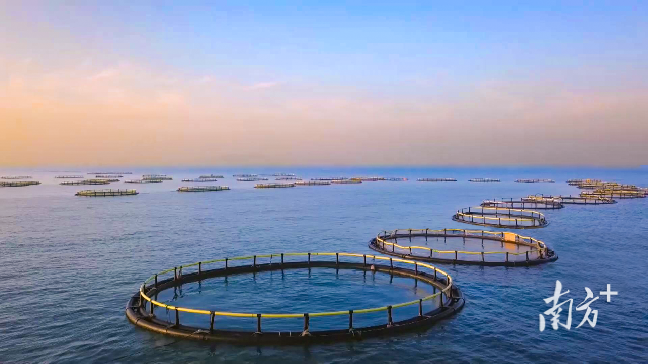 1765334884442649.png 30823ebf0059299a4c41b93589dfaaef.png