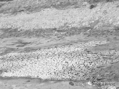 1765336060903826.jpg 928f7027b01c44bc97806d10b70a5404.jpg